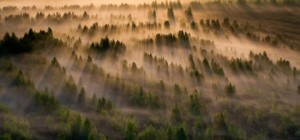 55 aerial photographs proving that our planet is the most beautiful