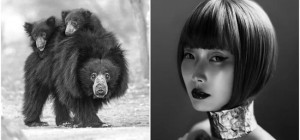 30 дивовижних чорно-білих фото з конкурсу Monochrome Photography (31 фото)