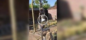 Кінетична скульптура: мистецтво руху та рівноваги