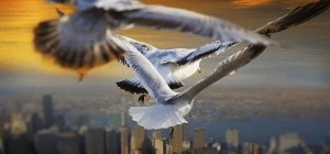 Soaring above the earth like a bird