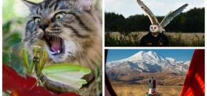 35 вражаючих знімків з усього світу (36 фото)