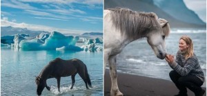 30 снимков лошадей в Исландии, которые захватывают дух (31 фото)