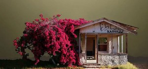 Forgotten Places in the California Desert (12 photos)