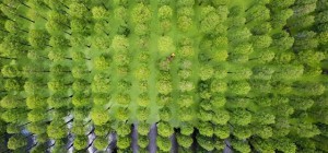 20 головокружительных видов с высоты