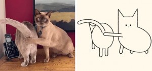 Художник находит фото котов и превращает их в потешные карикатуры (19 фото)