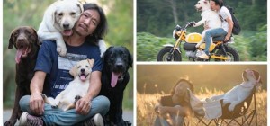 What real happiness looks like: a photographer travels with his four-legged friends (13 photos)