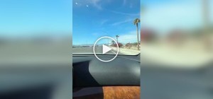 Незвичайний малюнок у Палм-Дезерт