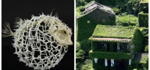 20 фотографий, которые вызовут восторг и умиление (21 фото)