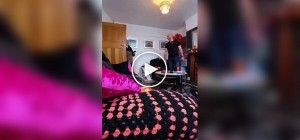 Парень рисует сказочные картины искусственным снегом на окнах