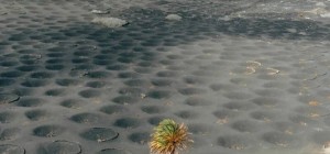 Alien landscapes of Lanzarote