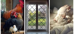 30 modern photographs in the style of Renaissance paintings that old masters would love to sign (31 photos)
