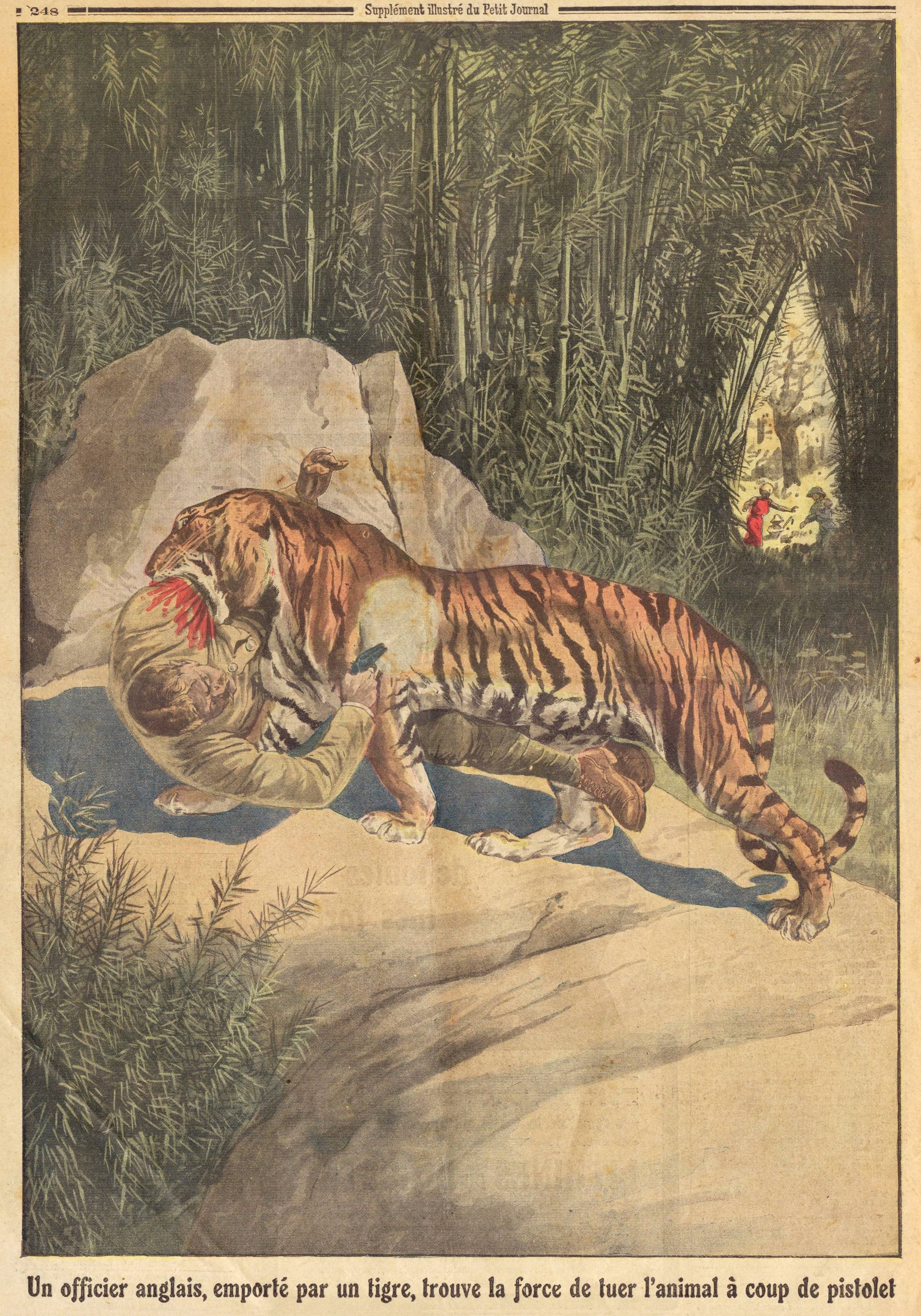 Тигр в древнем мире. Золотая Ригма иллюстрации Павлишина. Охота на тигра в древности. Охота на тигров на слоне.