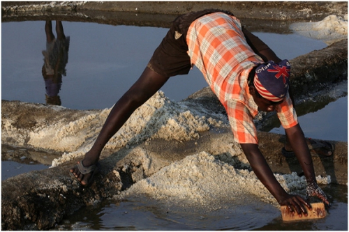 Фотожурналист Сергей Максимишин. Производство соли в Гоа, Индия (11 картинок)