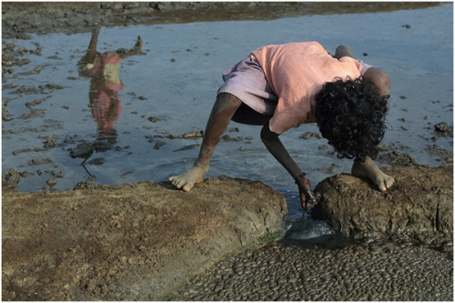 Фотожурналист Сергей Максимишин. Производство соли в Гоа, Индия (11 картинок)