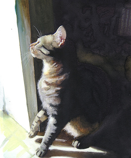 Кошки в акварели от Alex Carter (33 картинок)