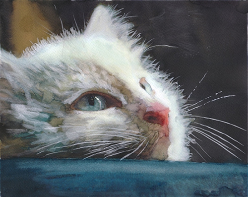 Кошки в акварели от Alex Carter (33 картинок)