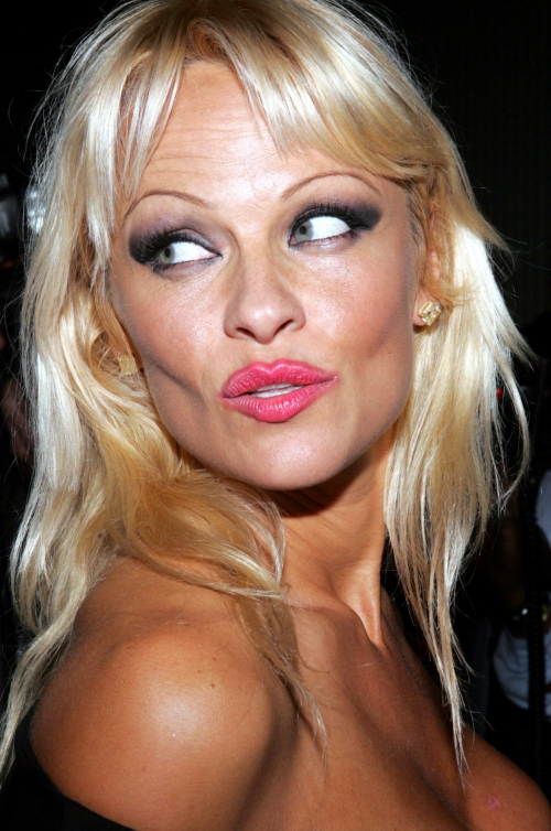 Sexy Pamela Anderson - HQ фотографии (288 фото)
