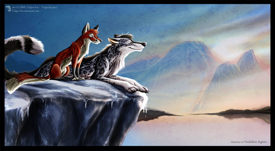 Волк и лиса и лиса другой. Лисы кульпео Фокс. Фурри-художница Culpeo-Fox. Волк и лиса любовь. Любовь волка и лисы.