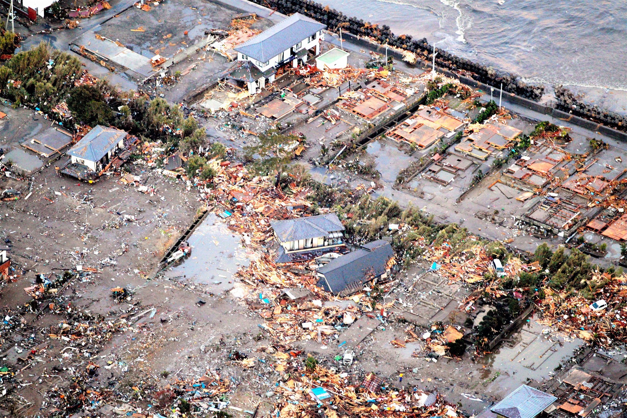 после цунами в японии