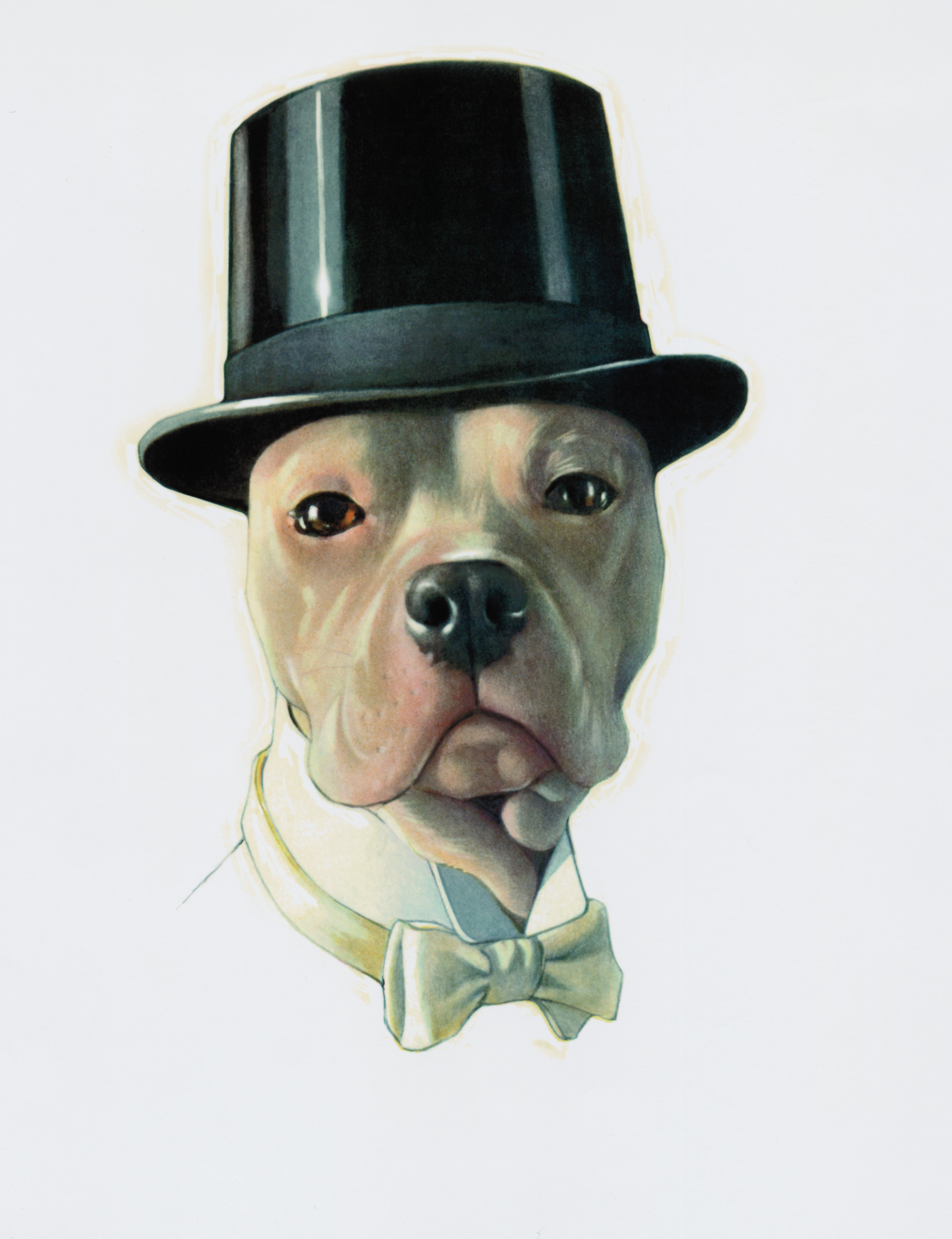 Постер собаки. Собака в шляпе. Портрет собаки в костюме. Пес в шляпе. Собака в цилиндре.