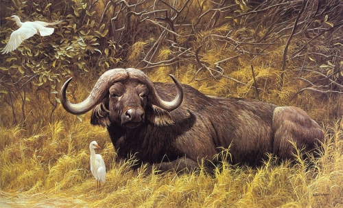 Animal painting by Robert Bateman (686 works)
