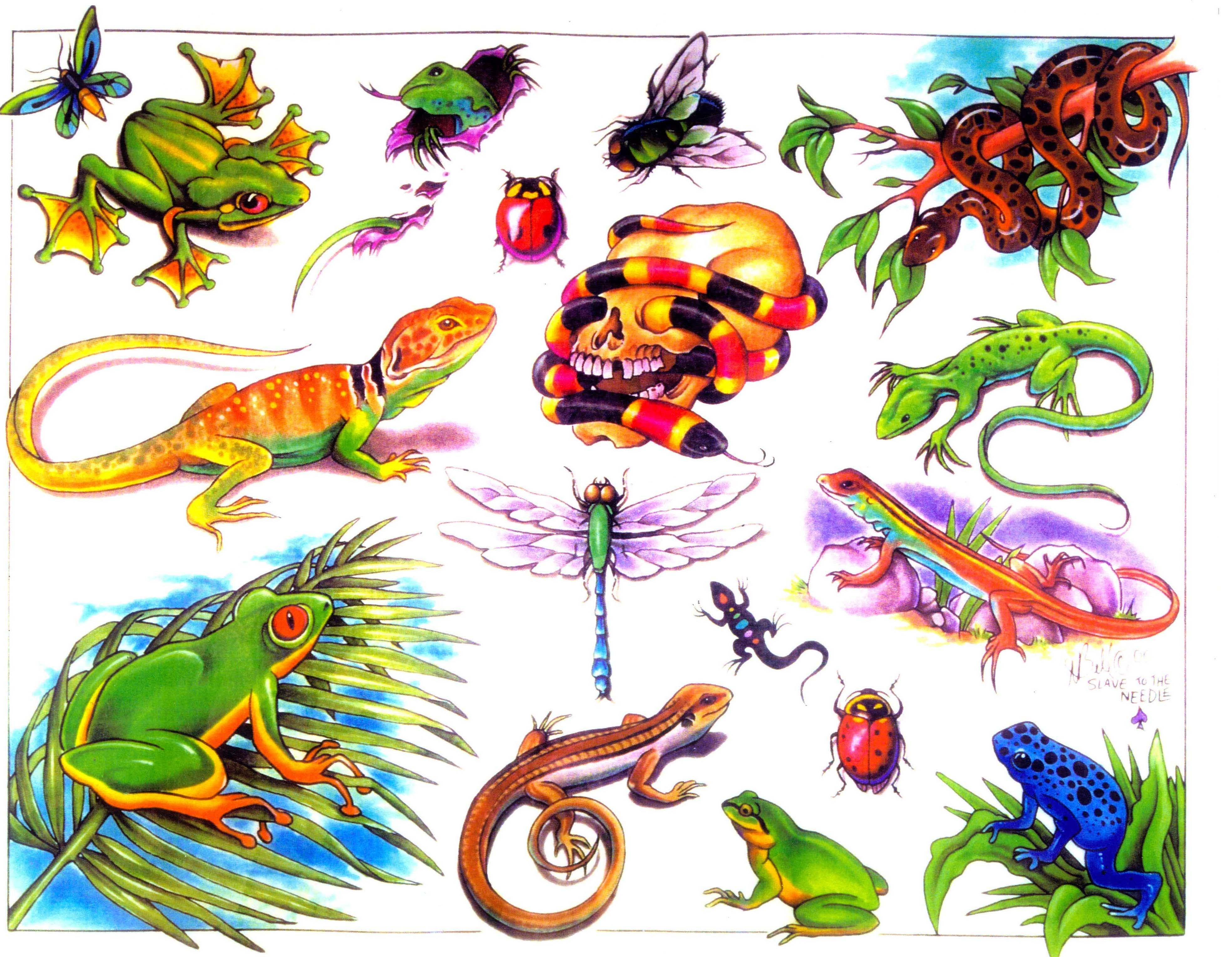 Насекомые и различные животные. Эскизы цветные. Тату эскизы цветные. Маленькие рисунки цветные. Пресмыкающиеся насекомые.