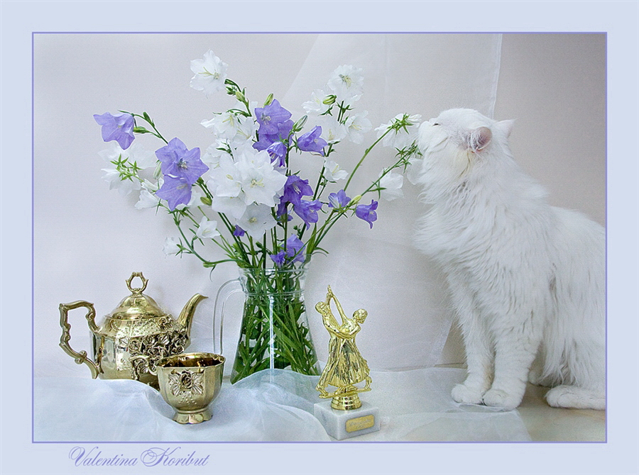 Картинки с добрым утром весенние с котами. Фотонатюрморты Валентины Корибут. Доброе утро котик цветы. С добрым утром цветы и кошки. Кот с цветами.