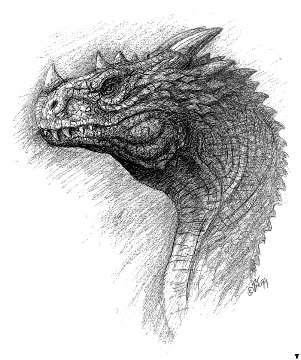 Dragon graphics. Дракон карандашом. Дракон рисунок карандашом. Голова дракона. Дракон зарисовка.