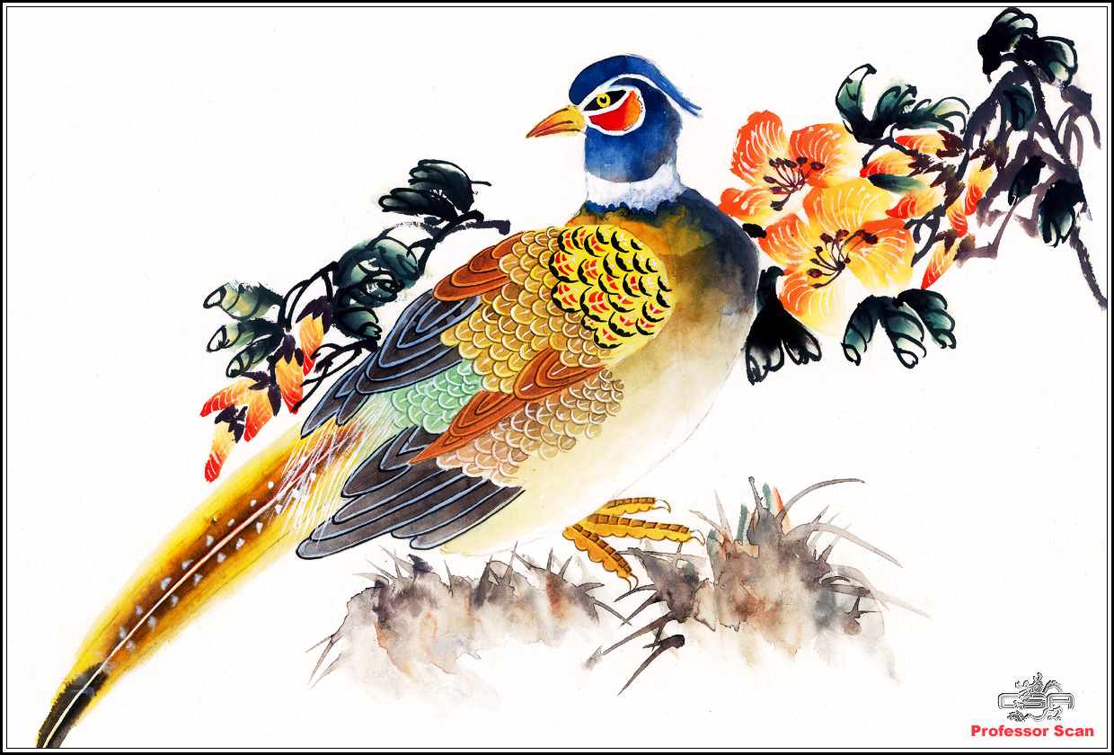 Какому жанру относится изображение птиц животных