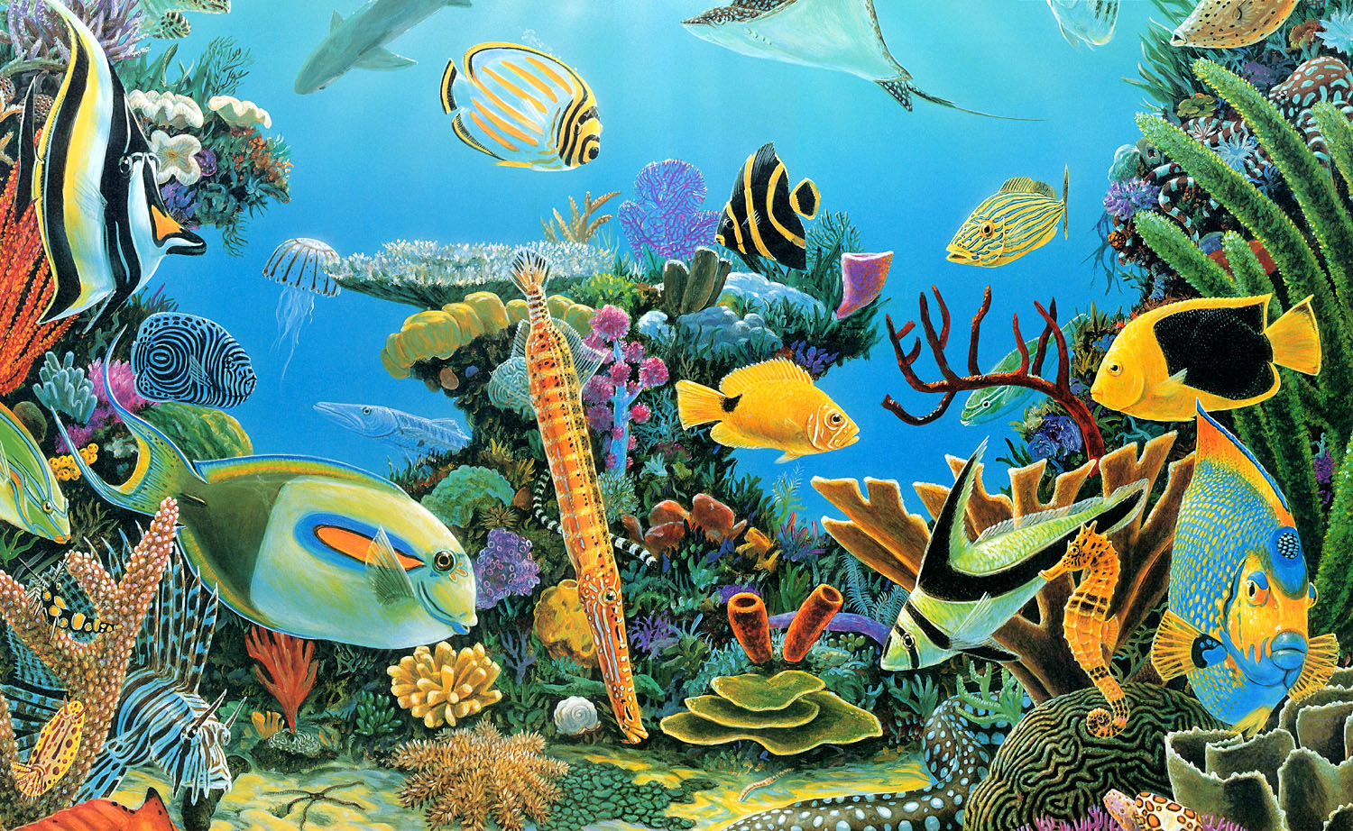 Царство животные рыбы. Подводный мир. Подводные обитатели для детей. Подводный мир рисунок.