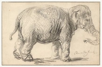 Рембрандт Харменс ван Рейн. Рисунок (82 работ)