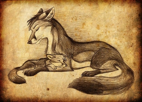 Рисованные лисы (23 работ)
