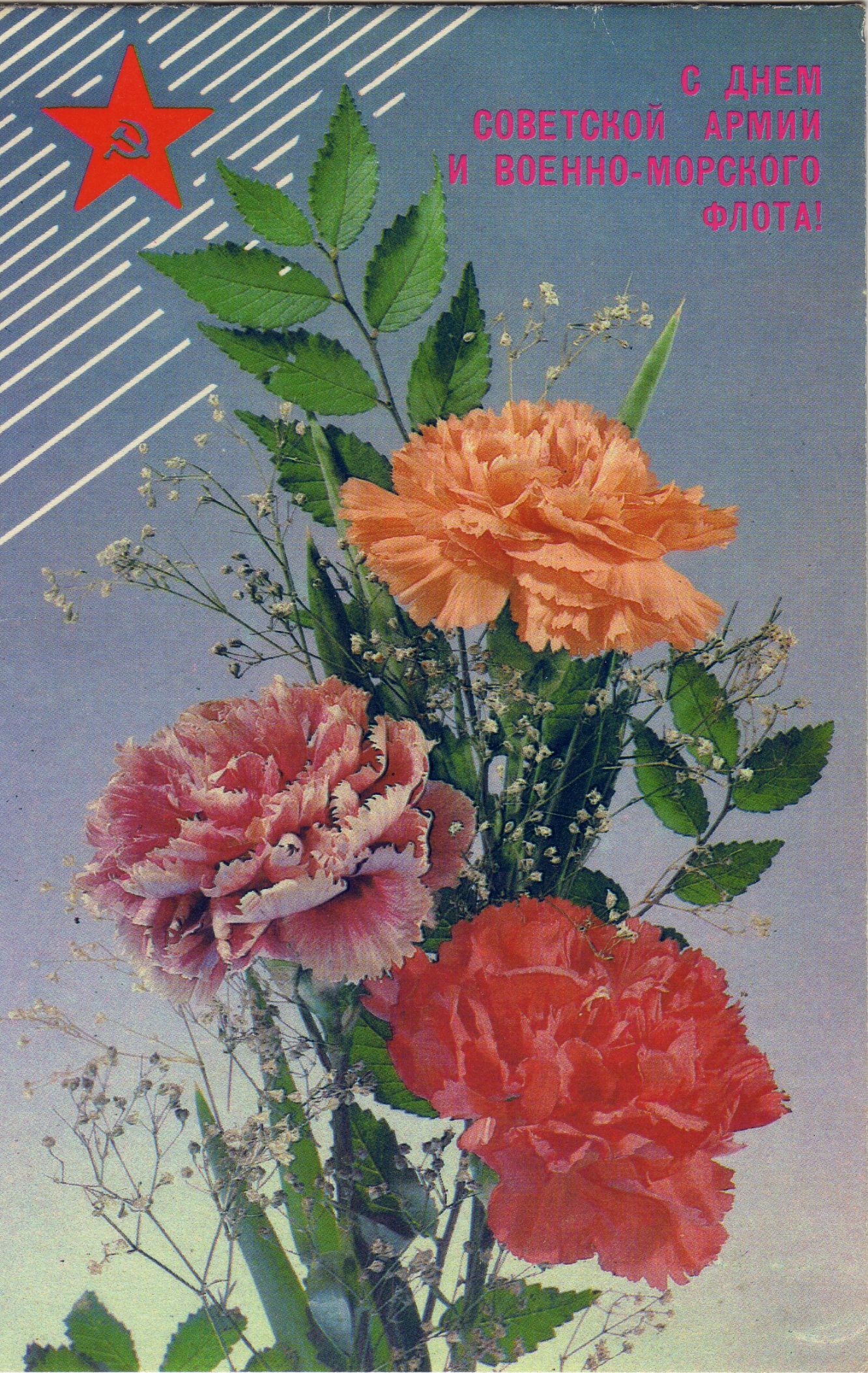 Картинки с 23 февраля с цветами
