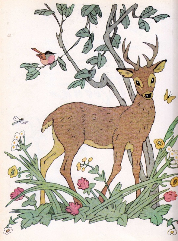 Песенку олень. Распе необыкновенный олень. Барон Мюнхгаузен чудесный олень. Чудесный олень. Сказка про оленя.