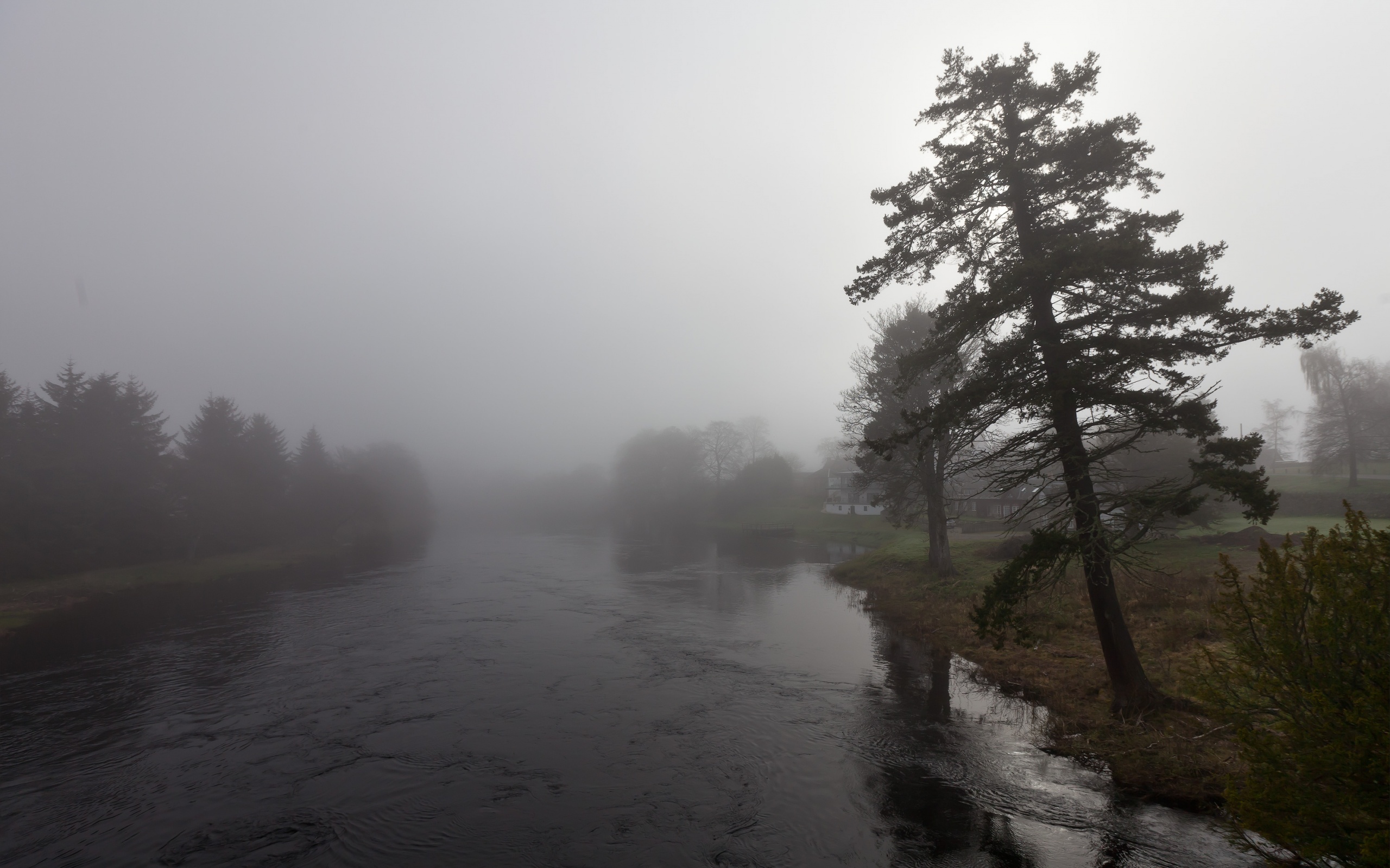 Река пасмурная. Лес пасмурно. Природа пасмурно. Дождь и туман. Деревья в тумане.