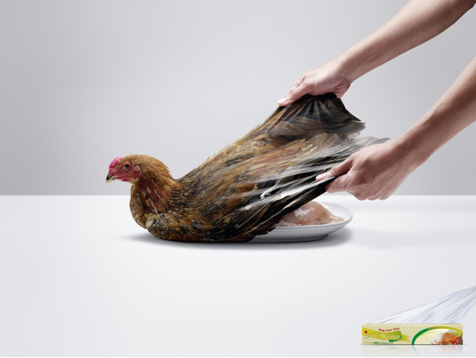 Интересный мир рекламы. Креативная реклама курицы. Креативные рекламные плакаты. Реклама креатив. Креативная реклама рекламы.