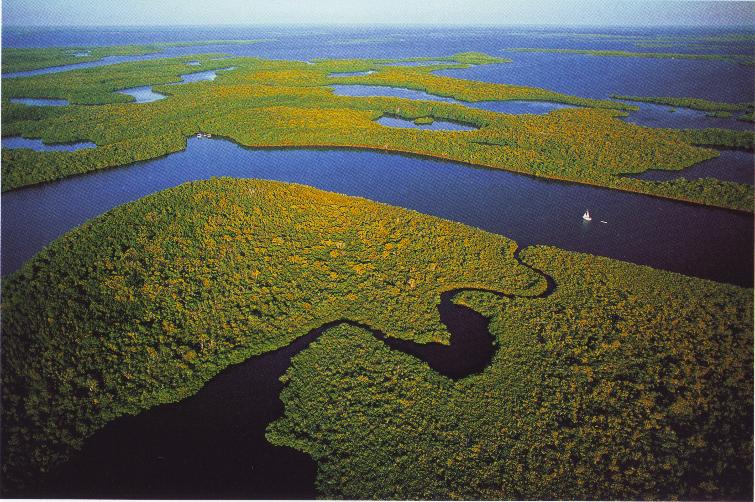 Какие крупные озера находятся на амазонской низменности. Национальный парк Эверглей. Эверглейдс Флорида. Парк Эверглейдс Флорида. Бразилия Амазонская низменность.