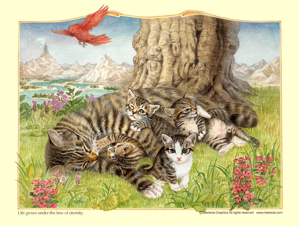 Рассказ по картине кошка с котятами. Художница Mariecat кошки картины. Орел и кошка Ушинский. Орел и кошка иллюстрации. Картина для рассматривания кошка с котятами.
