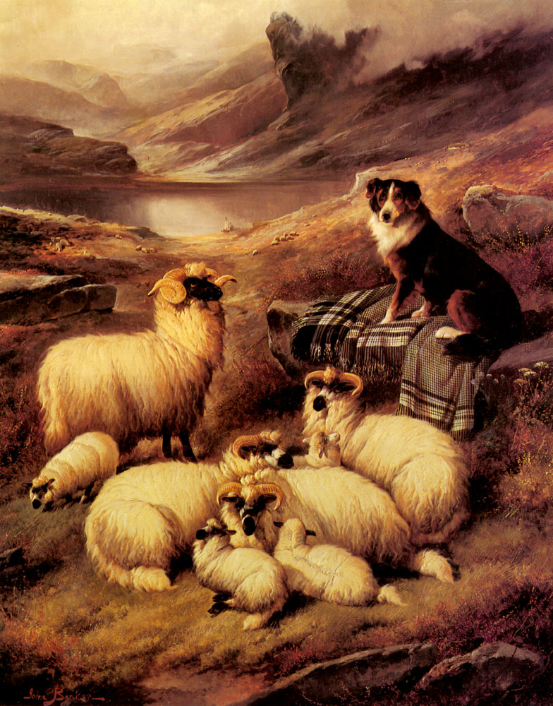 Джон баркер. Овцы картины художников. Картина стадо. Животных Британии картина.