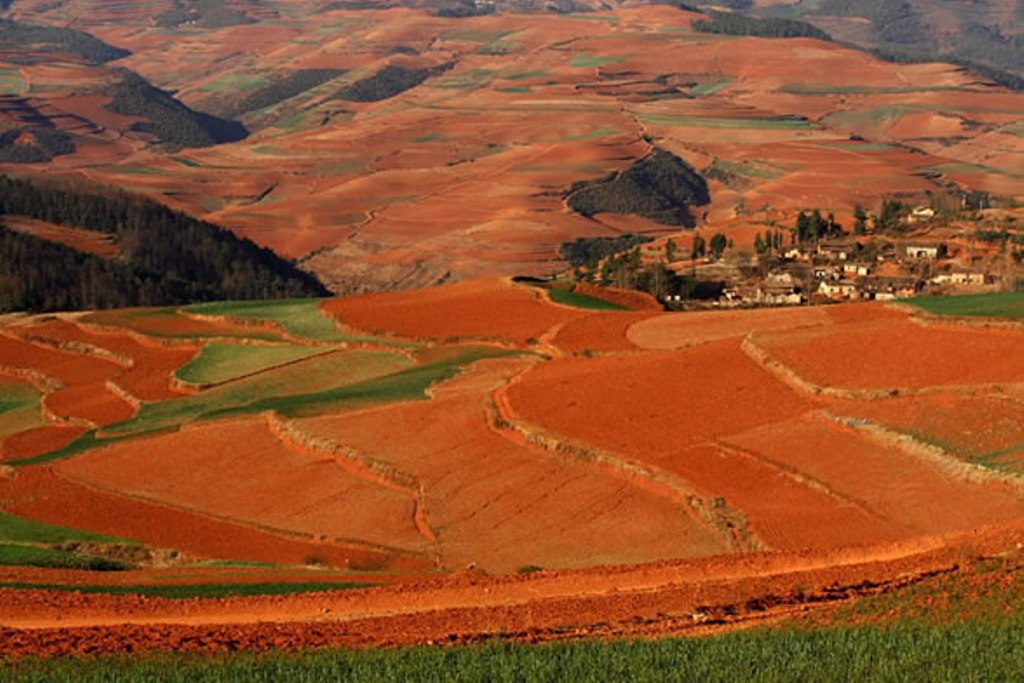Природные зоны бразилии почва. Красные ферраллитные почвы Бразилии. Красноцветные почвы Терра Росса. Красные латеритные почвы Бразилия. Мехико почва.