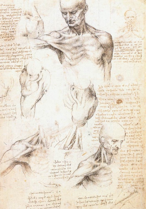 Леонардо да Винчи | XV-XVIe | Leonardo da Vinci (520 работ)