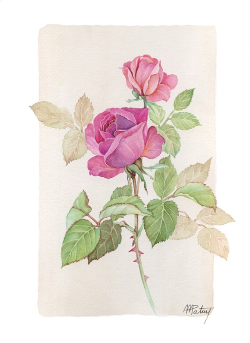 Цветочное от Anne Marie Patry-Belluteau (41 работ)