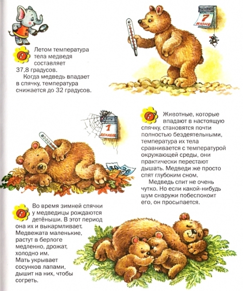Иллюстратор Ольга Ковалева (97 работ)