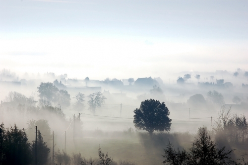 50 волшебных фотографий туманного утра (50 фото)