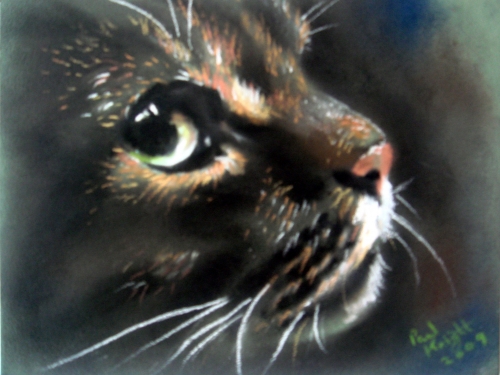 Английский художник Пол Найт. Кошки. 1 часть | Paul Knight (45 работ)