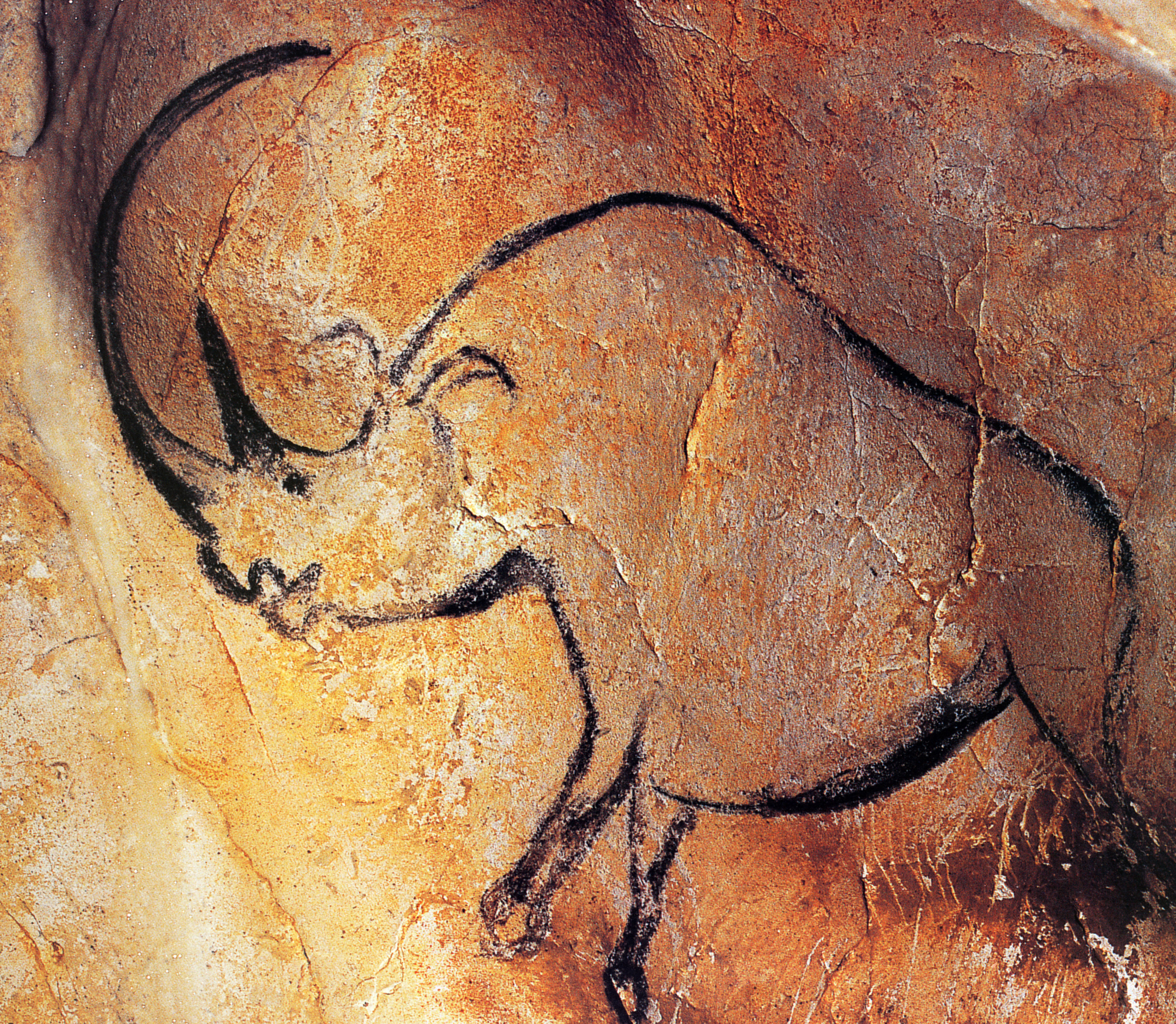 Жизнь говорят древние. Наскальная живопись бушменов Неолит. Искусство палеолита пещера Шове. Первобытное искусство палеолит. Пещера Шове Наскальная живопись.