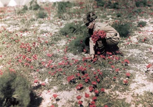 Фотографии, картинки, карты первой мировой войны (5000 фото) (1 часть)