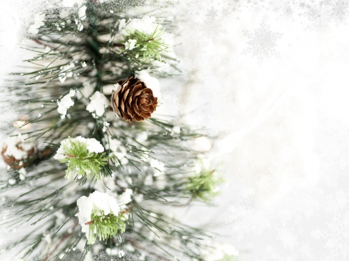 Красавица зима - красивые зимние фотографии (70 фото)